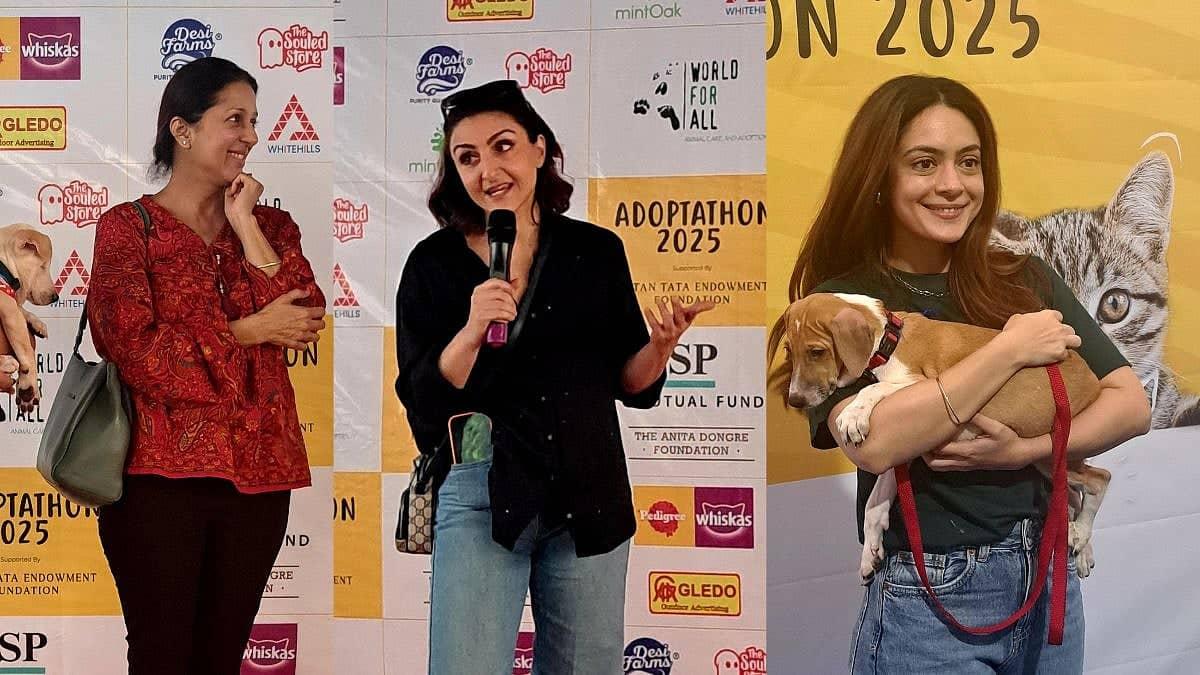 Siddhu Paaji da Bandra Adoptathon: Pyaar te Puppies da Jashan