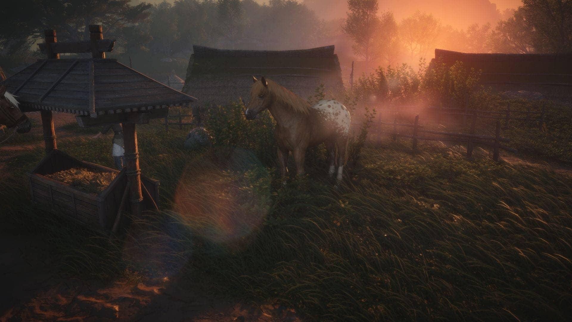 A Kindred Steed: Ghode ki kahani, insaan ki talaash