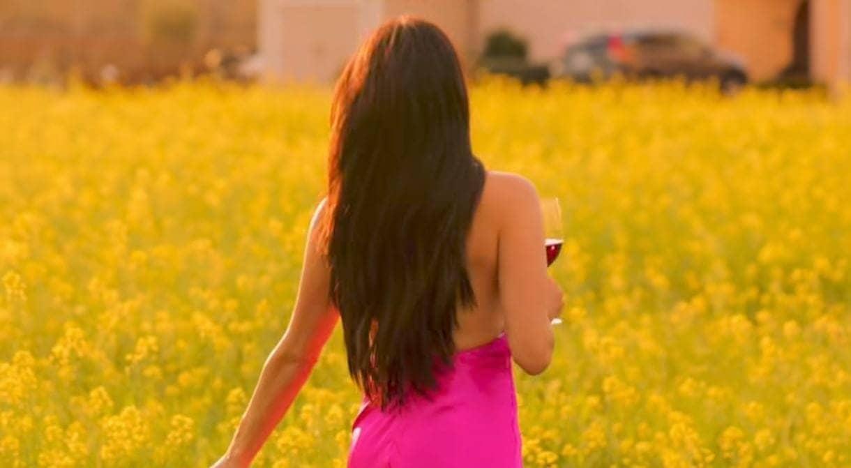Nikki Bella ki body shaming ki kahani, drama aur himmat