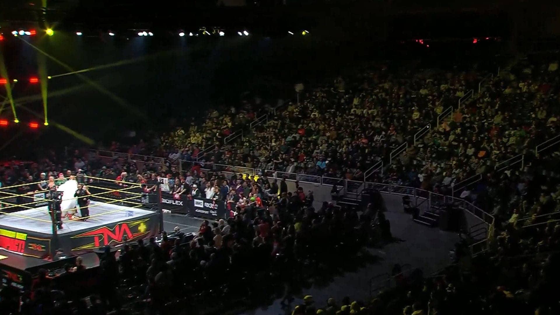 Elayna Black's Dazzling TNA Return After WWE Hiatus
