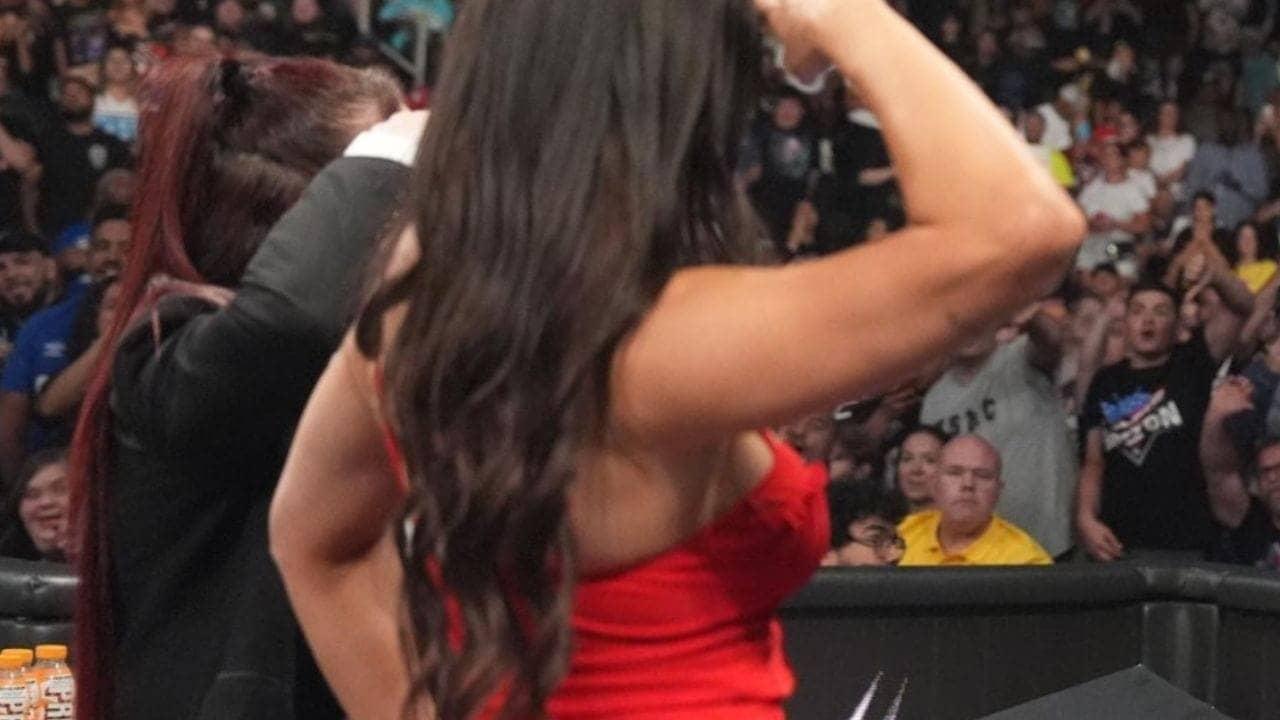 Vince Russo supports Chelsea Green amid Michael Hayes drama