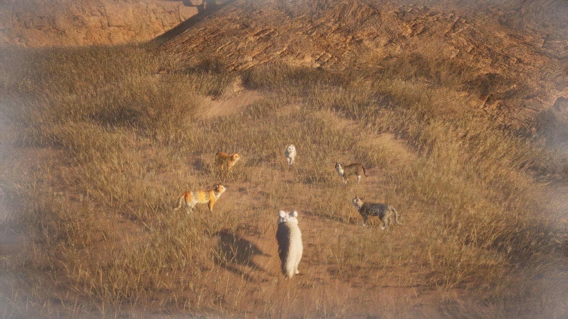 Embark on the Magical Cat Fever Quest in Where Winds Meet