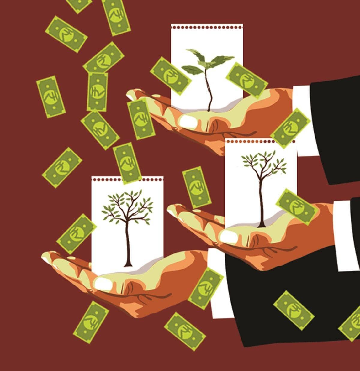 Canara Robeco Fund: 21 Years of Wealth, But Where's the Spice?