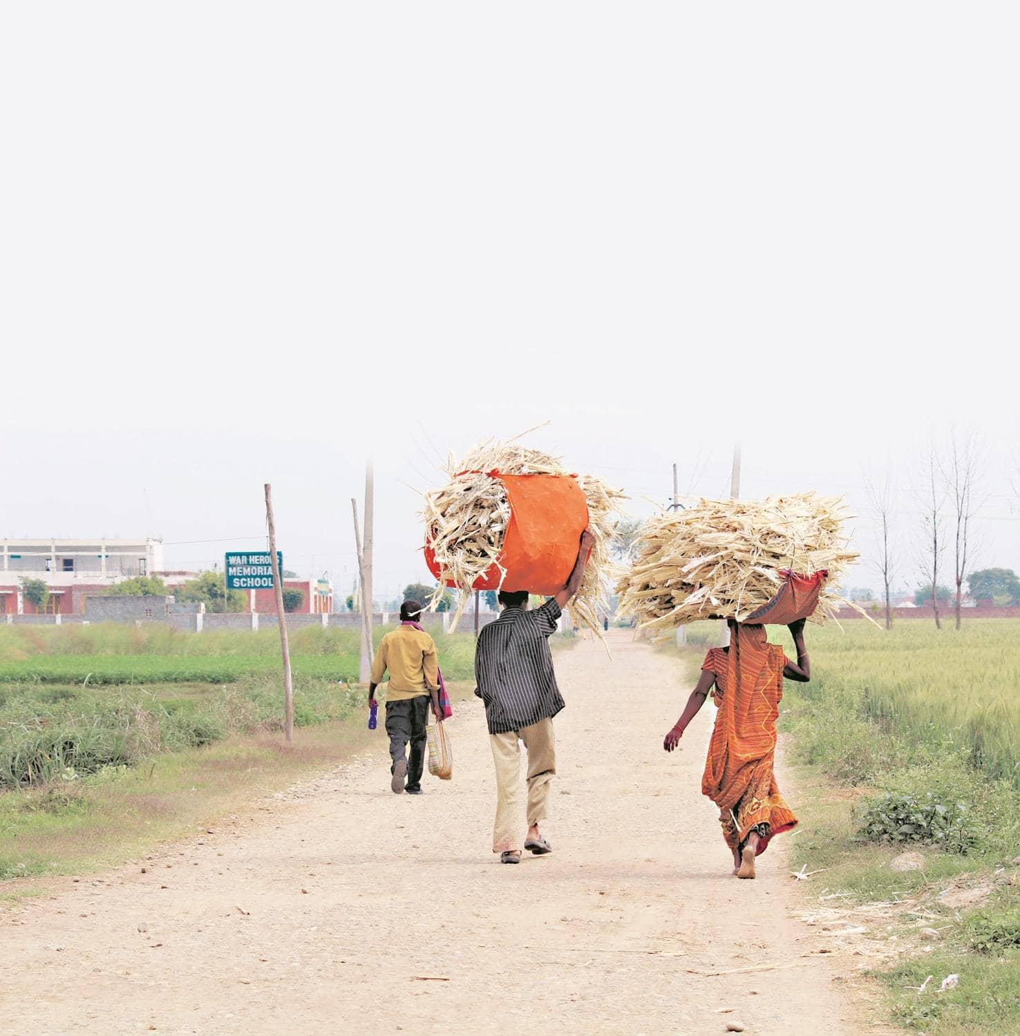 Rural India ka Insurance Craze: 43% Premiums ka Badla Scene