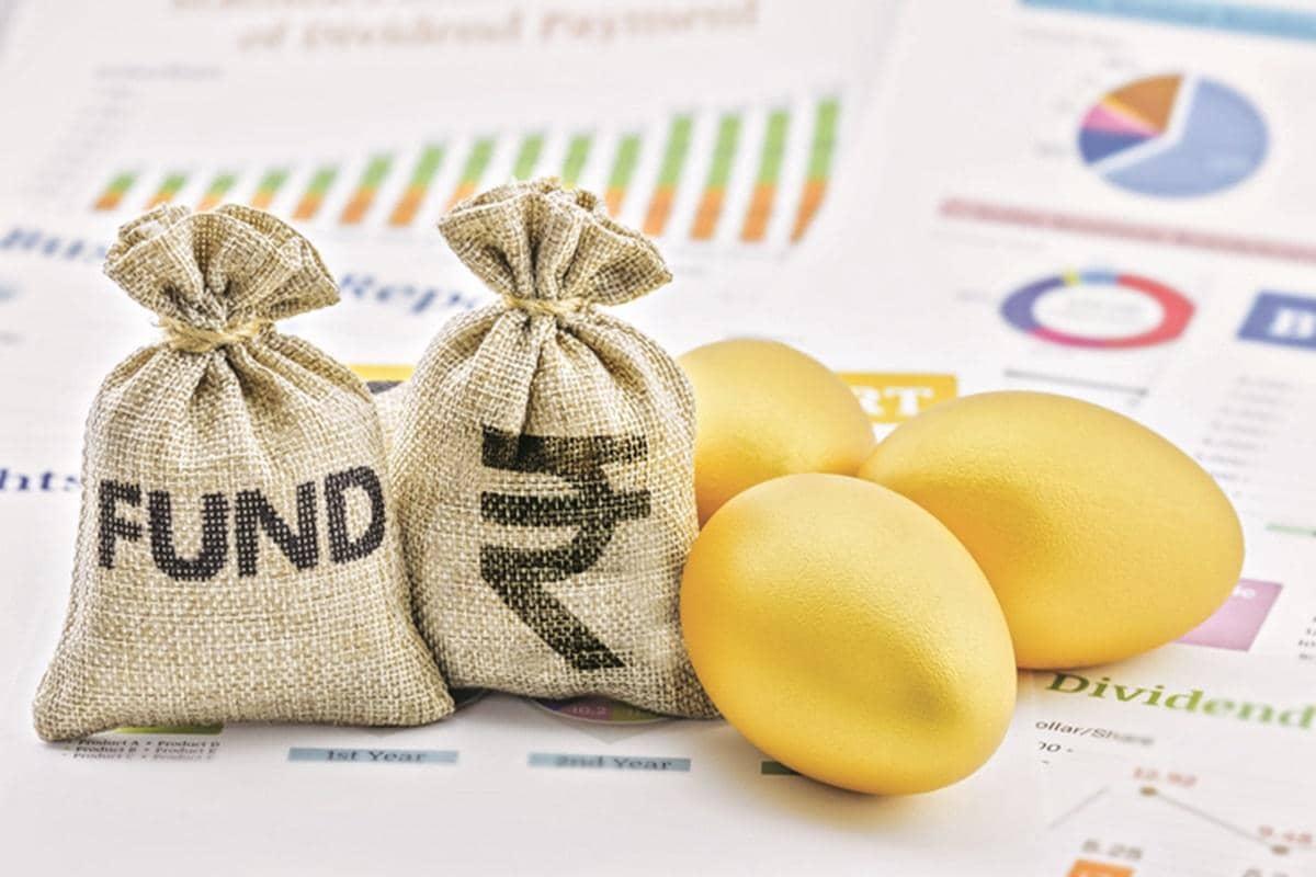 Kotak Flexicap Fund: The Ultimate Investment Pizza Slice!