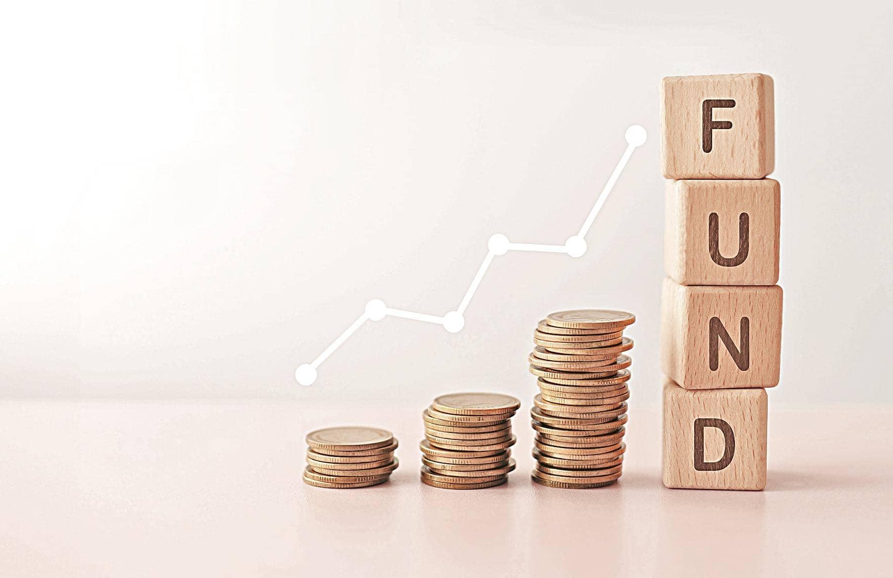 DSP Large & Mid Cap Fund Review: Financial Chaos Incoming!