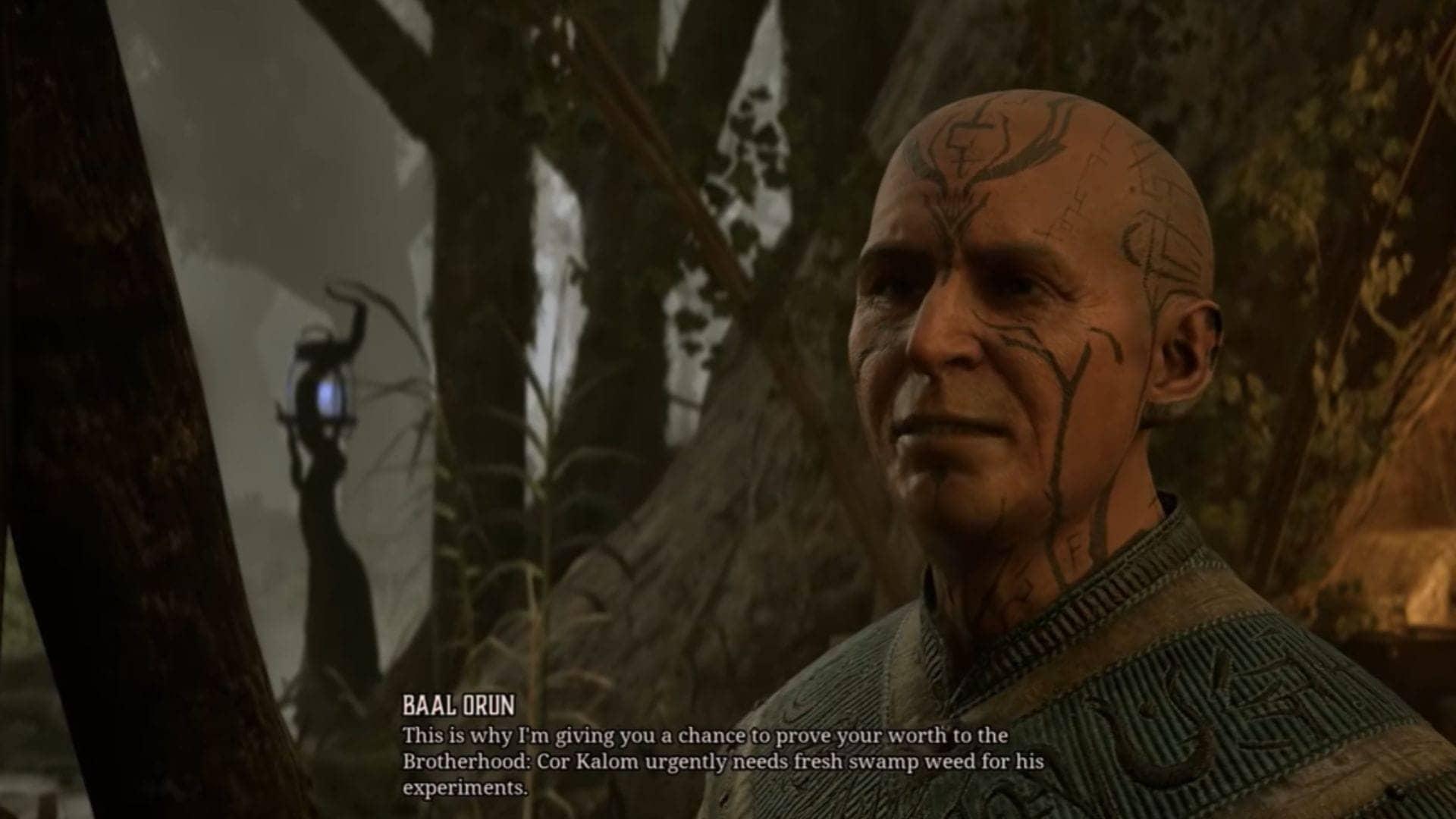 Swampweed Harvest: Joey's Guide to Gothic Fun Awaits You