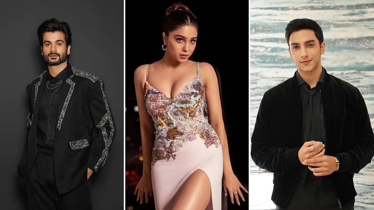 Sunny Kaushal's Split: Sharvari's Fame Leaves Him in Dust