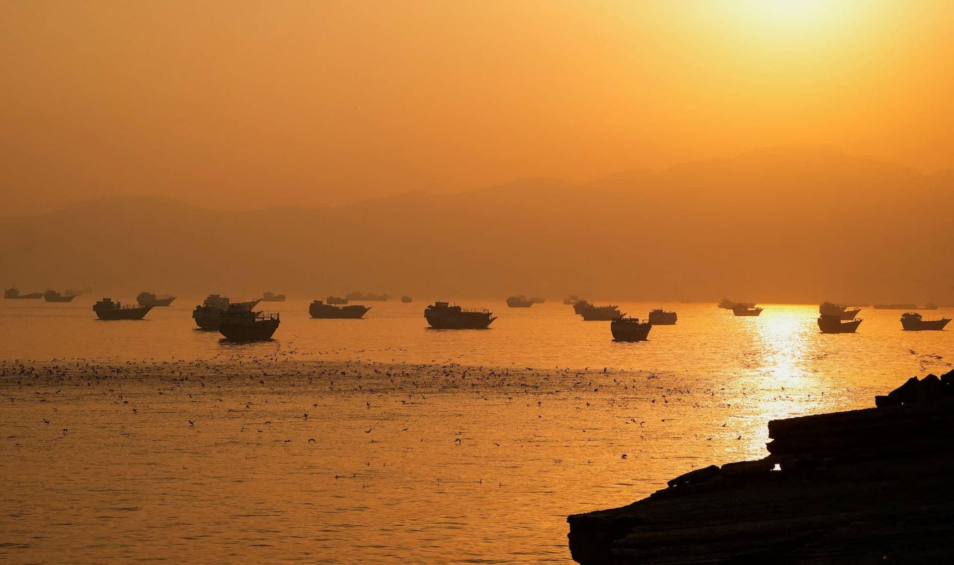 Gulf Exporters Search for New Routes Amid Energy Chaos