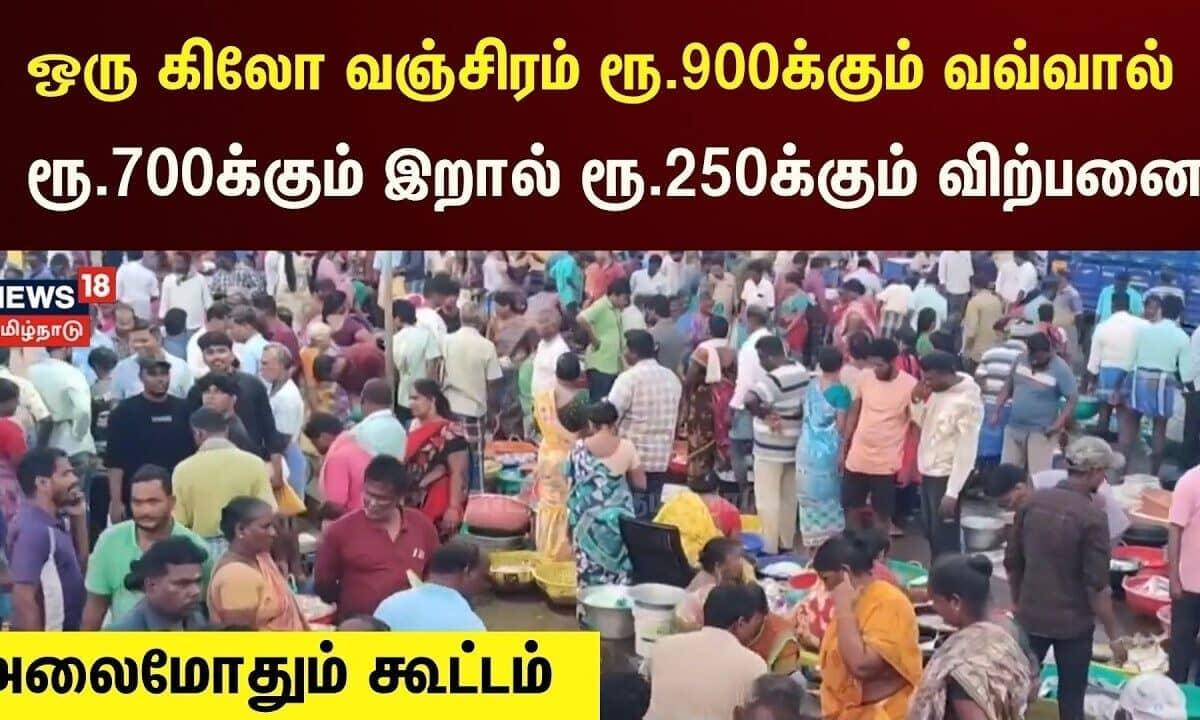 Cuddalore Seafood Prices: Crab Rs 900, Squid Rs 700, Oh No!