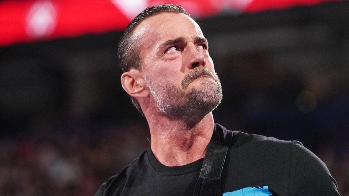 CM Punk ka Bada Regret: MMA Mein Jaldi Koodna Chahiye Tha