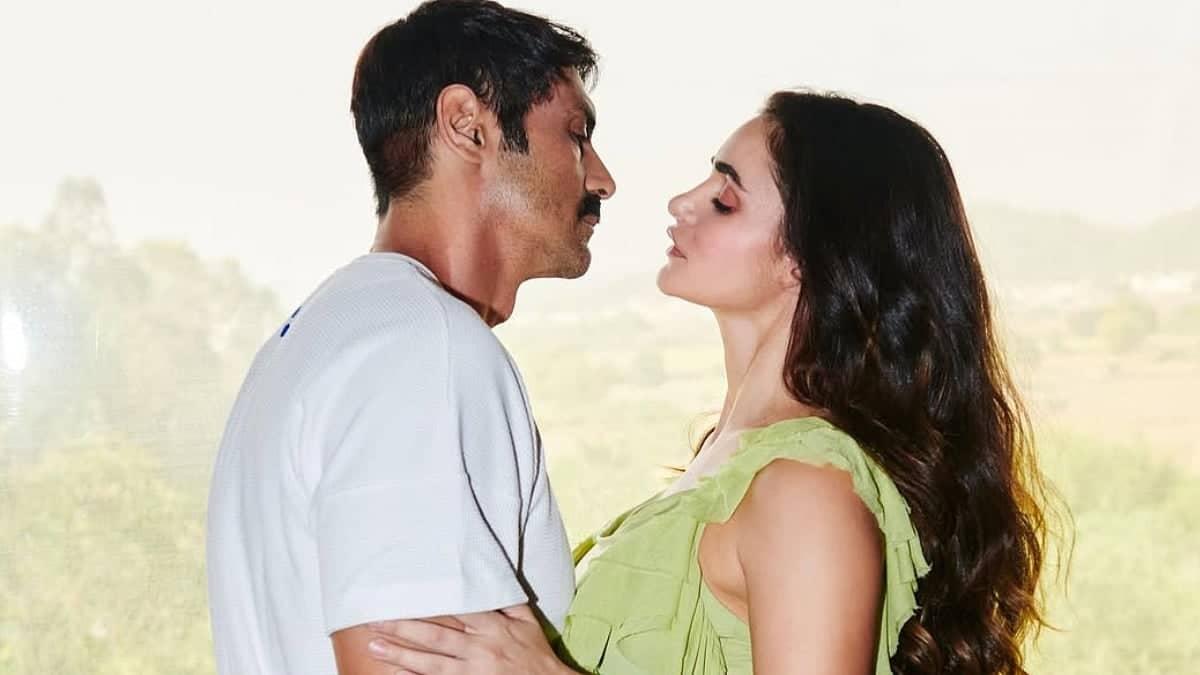 Babu Bhaiya Ka Pyaar: Arjun Rampal Ki Engagement Confirm