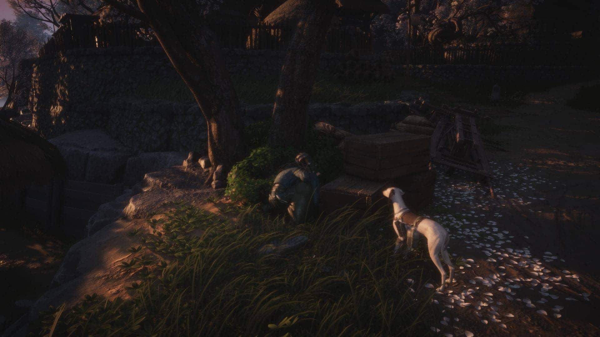 Dominate the Quest: The Dogs Know First in Where Winds Meet