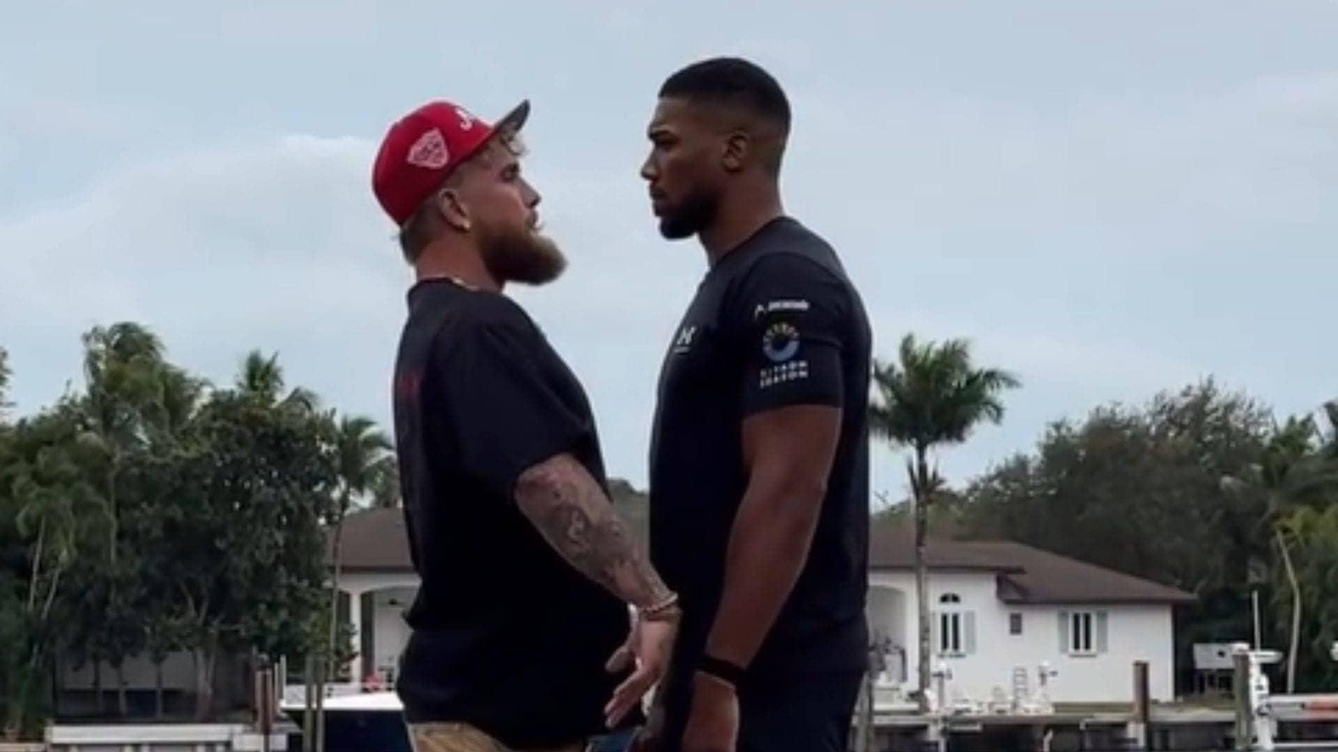 Jake Paul ka Hulk Hogan ko tribute, Joshua se boxing takkar!