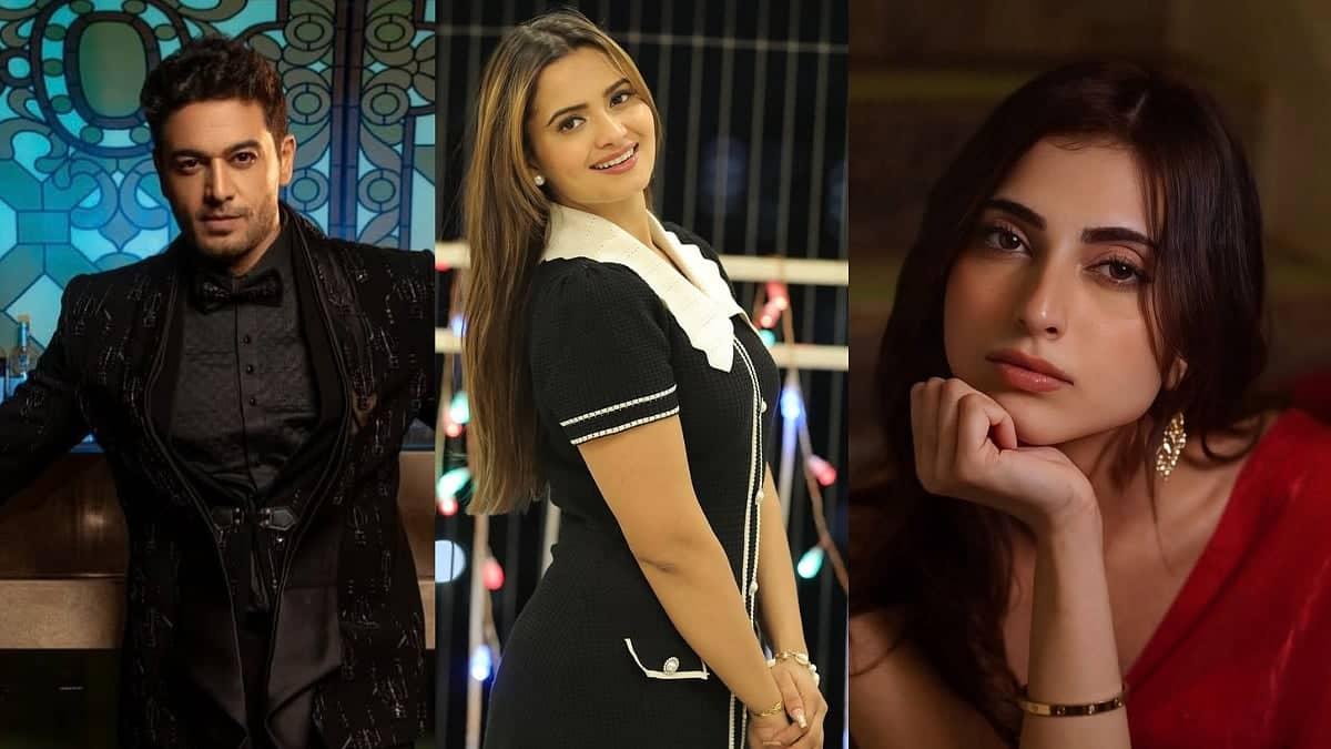 Bigg Boss 19: A Year of Magical Feuds and Enchanted Drama