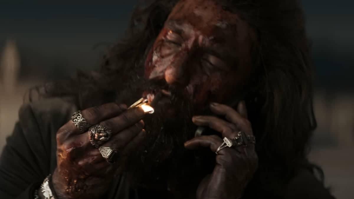 Dhurandhar Box Office: Ranveer’s ₹700 Crore Magic Unleashed
