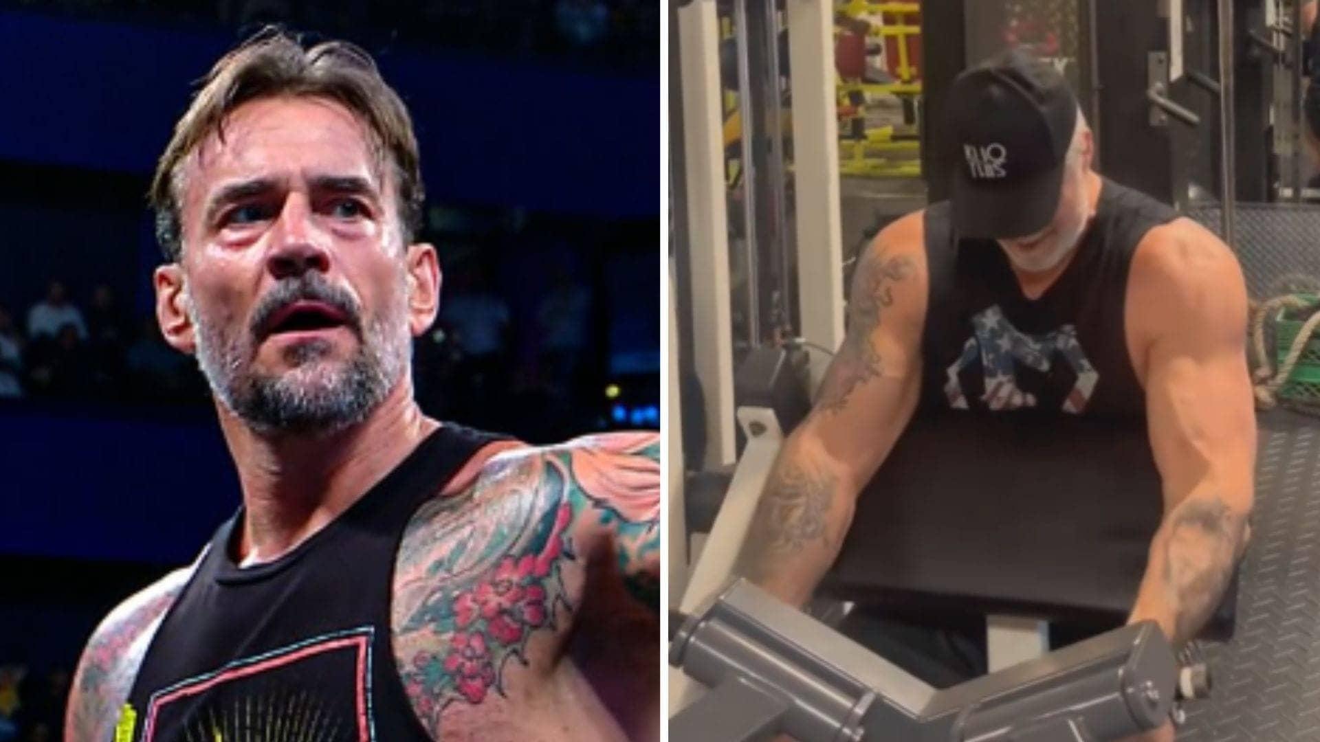 CM Punk hears retirement talk from Kevin Nash at recent show