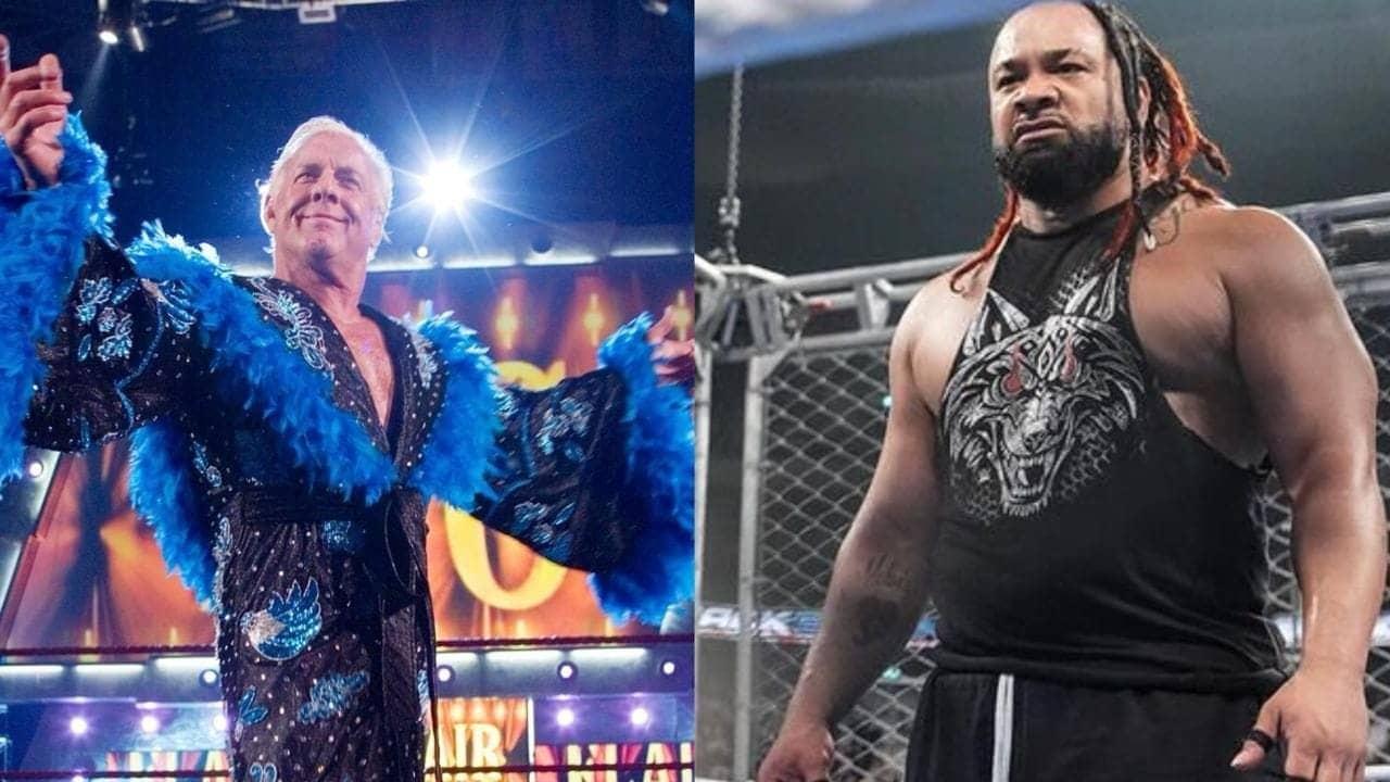 WWE News: Stabbing ki kahani aur Ric Flair ka throwback
