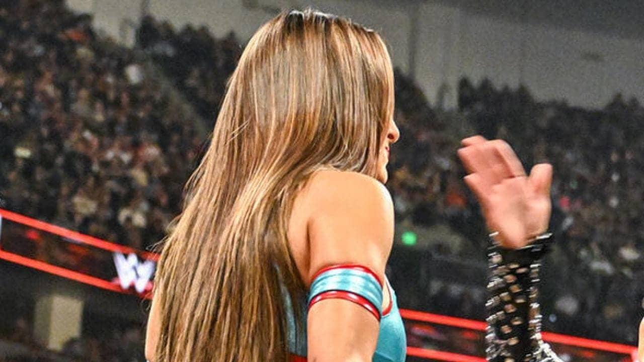 WWE Bombshell: Bella Twins Reunion Axed, Drama Ensues