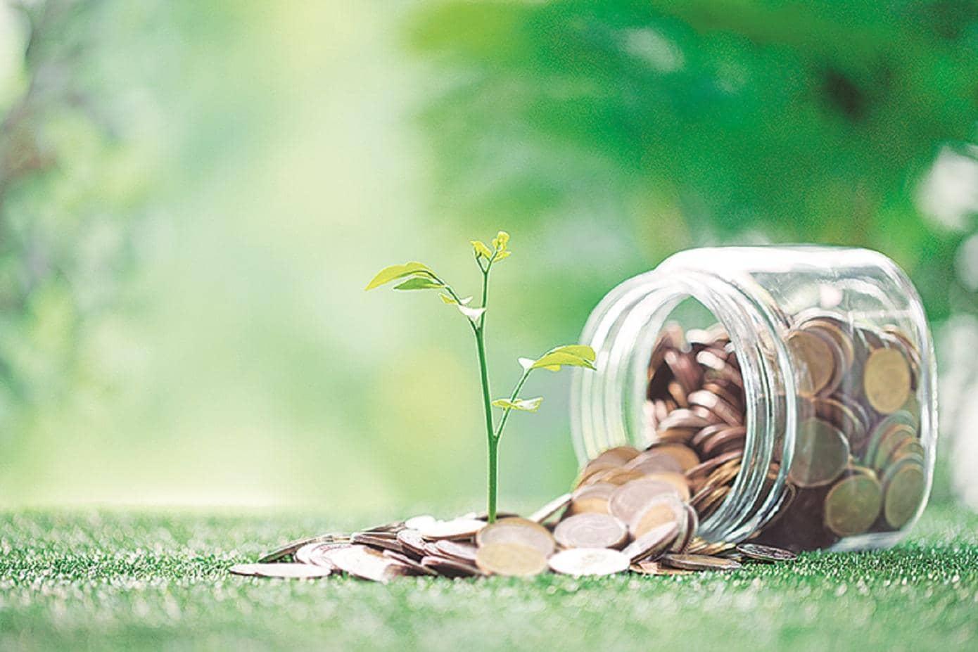 ELSS vs New Tax Regime: Is It Time to Invest, Champ?
