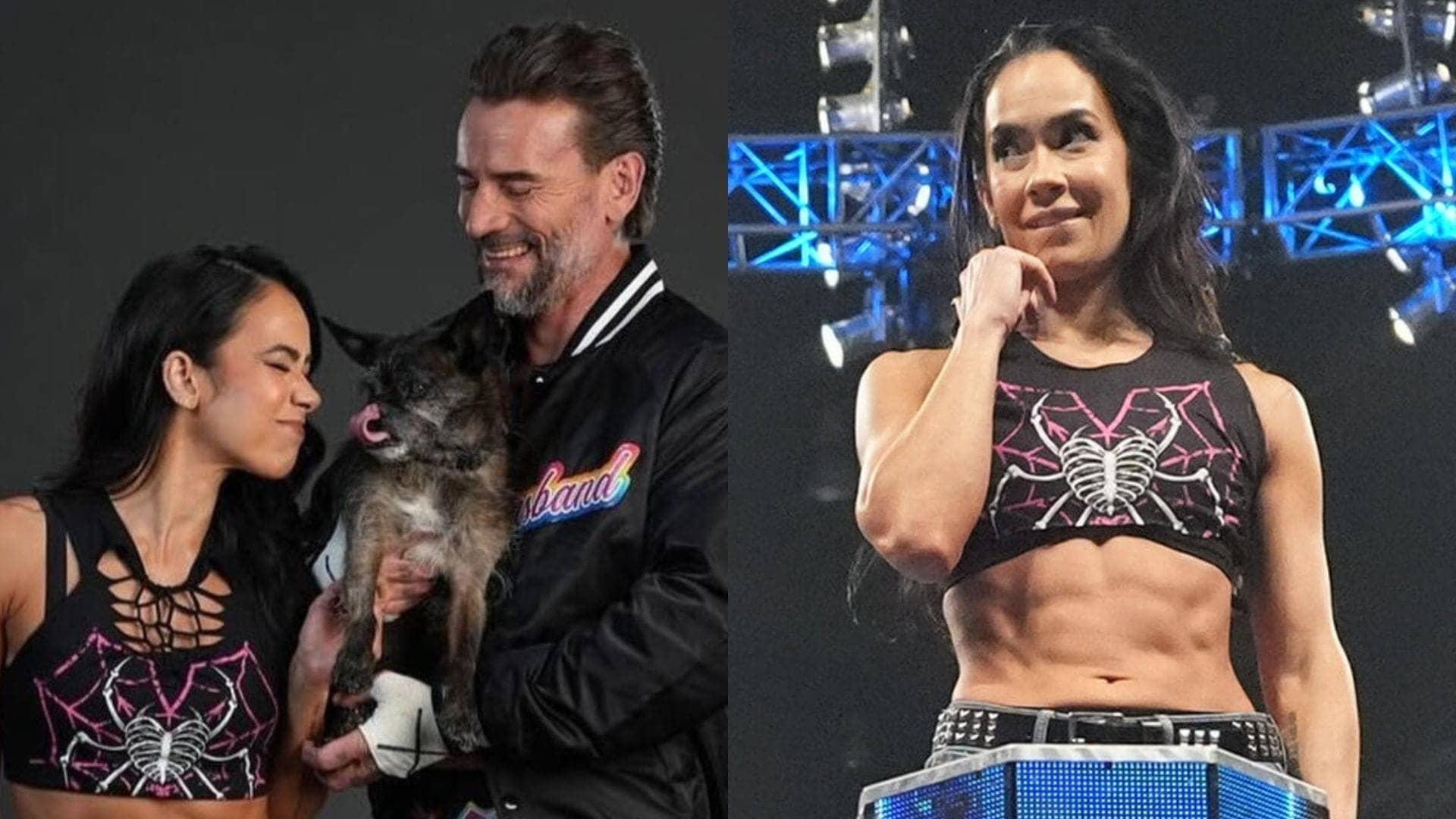 AJ Lee ka WWE mein wapas aana, CM Punk ka saath hai zabardast!