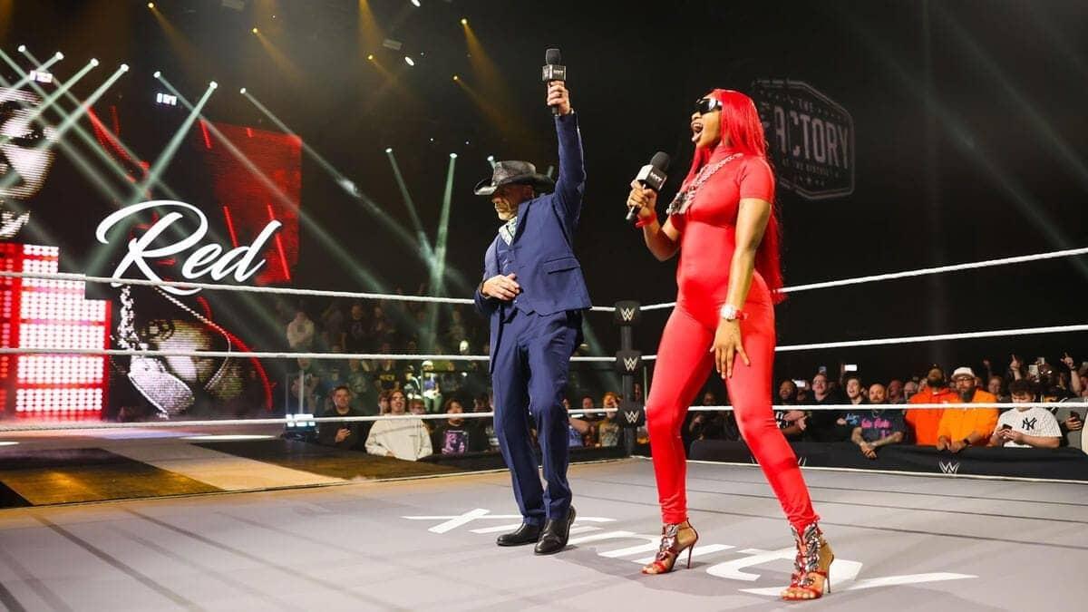Shawn Michaels ne kiya Vince ke saath romance ka inkaar