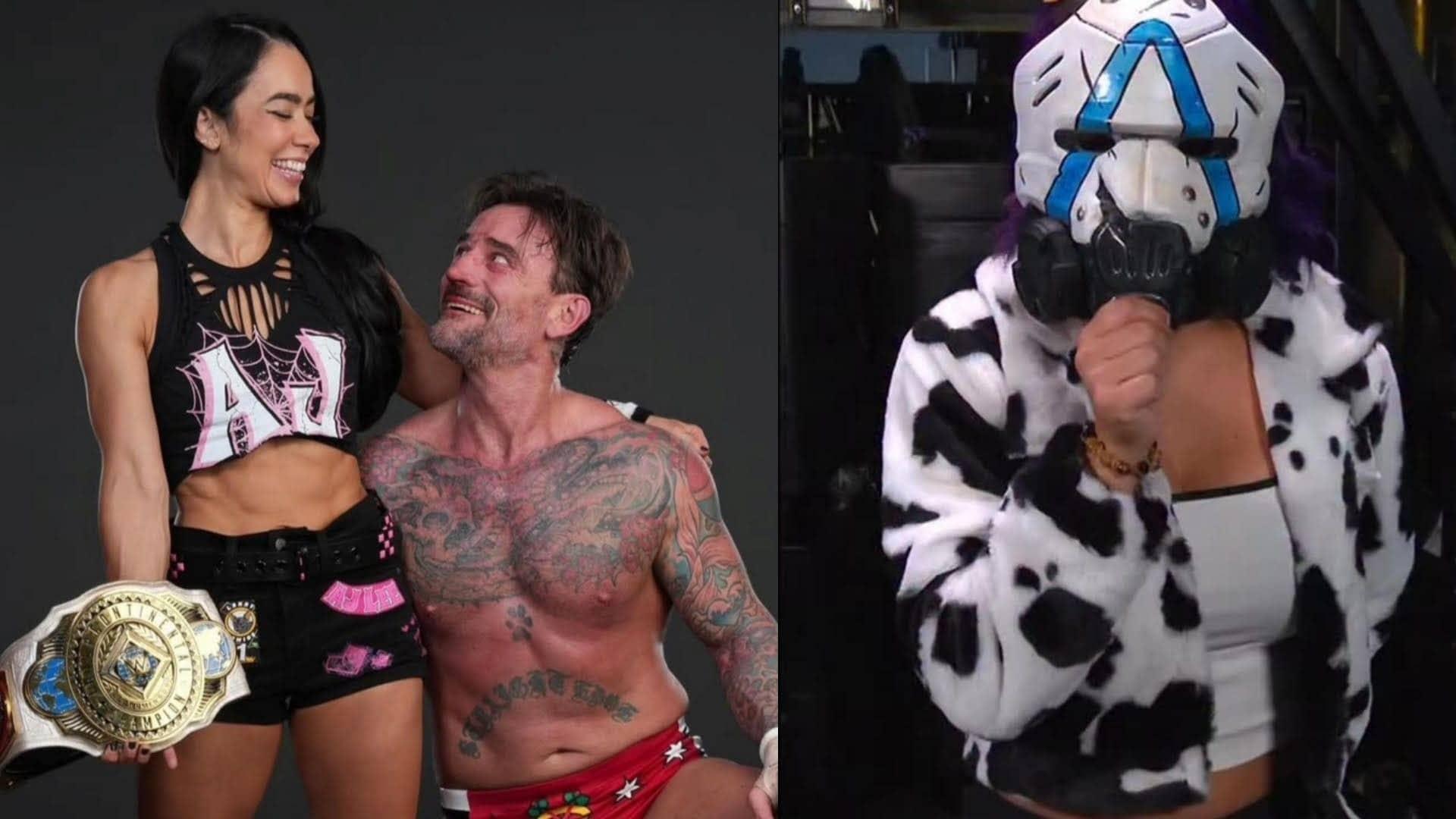 AJ Lee and CM Punk's Hilarious 'Work Wife' Saga Exposed