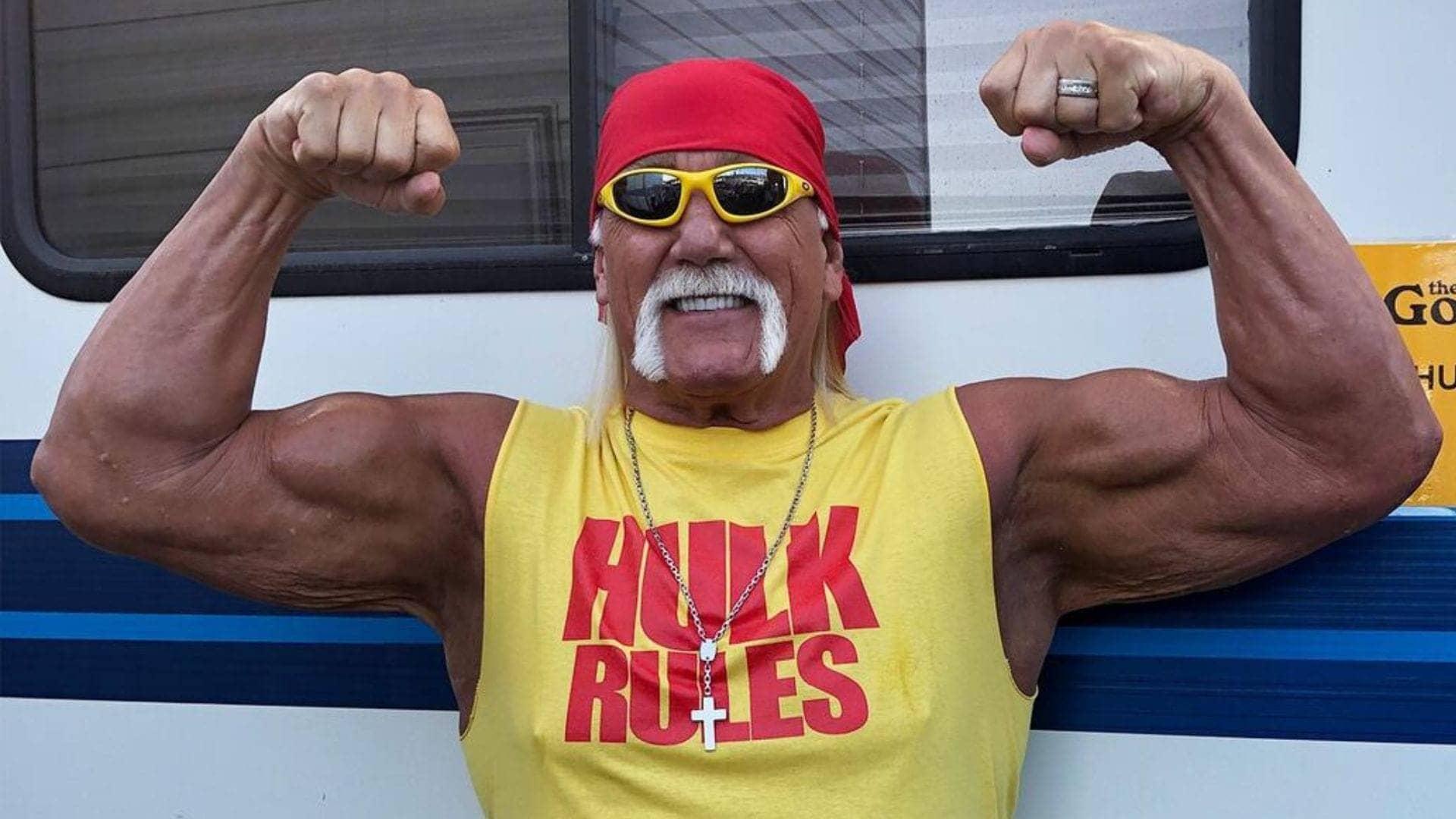 Bret Hart Calls Hulk Hogan a Backstabbing Piece of Trash