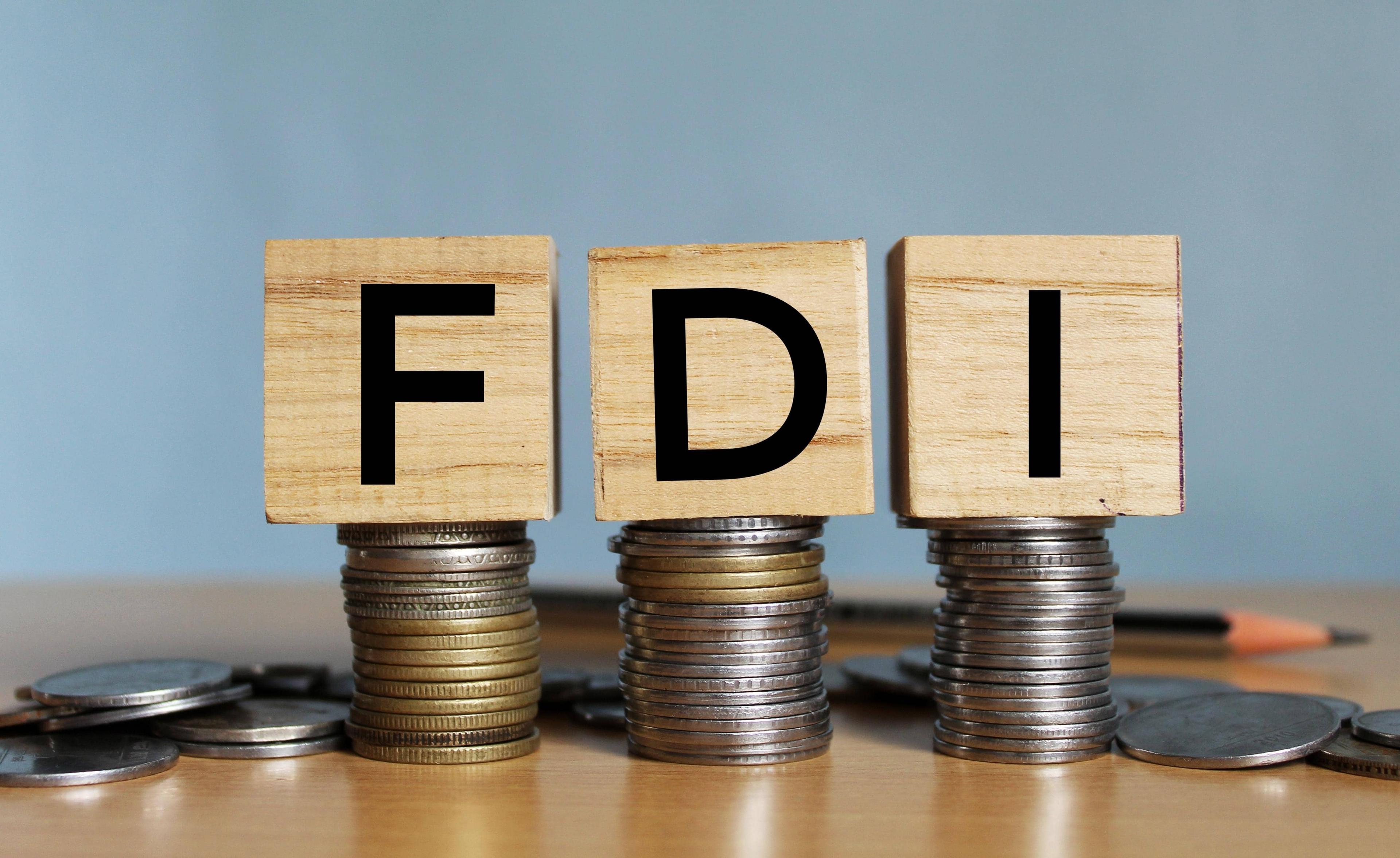 Net FDI Makes a Comeback in February After Six-Month Dip