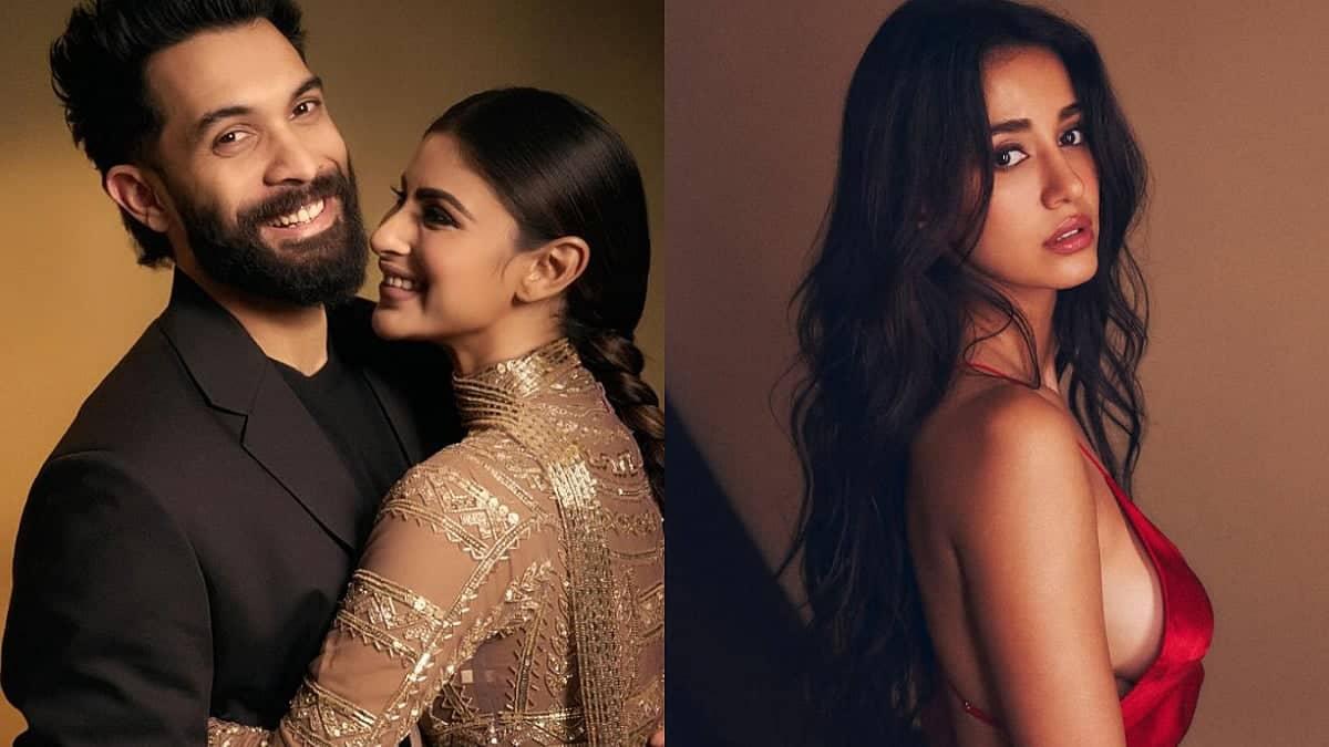 Mouni Roy and Suraj Nambiar Split, No Drama with Disha Patani