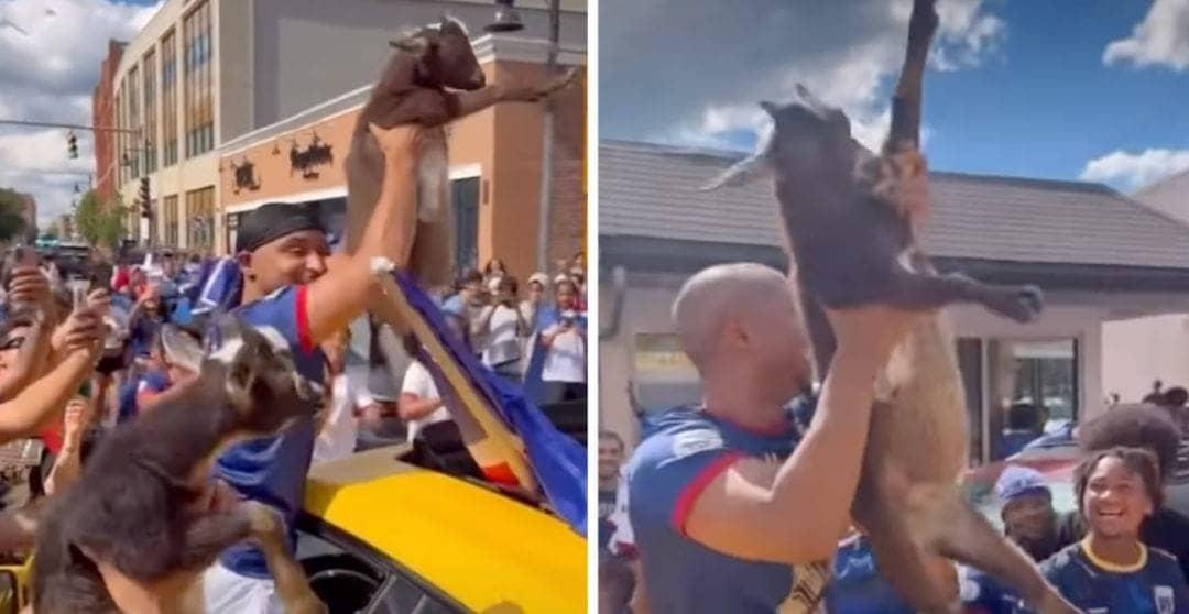 Cabo Verde Fans Uplift Spirits With Goats After Spain Draw