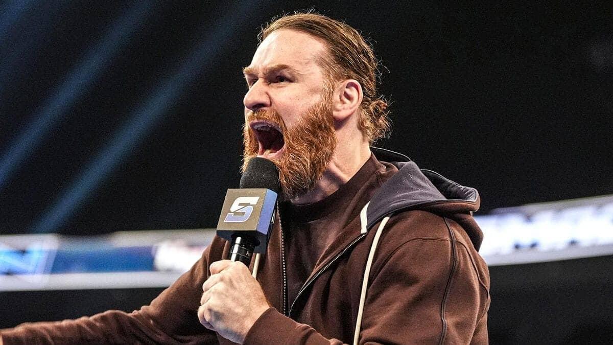 Sami Zayn's Funny Apology After WWE Ref Mishap